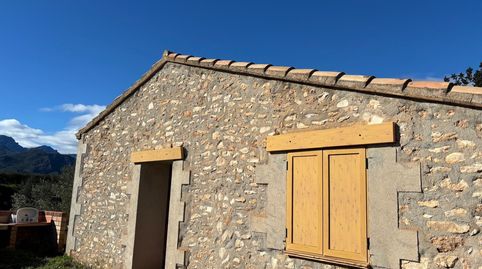 FINCA OLIVOS 15 hect., CASITA RÚSTICA Y ALMACEN AGRÍCOLA, immagine 5
