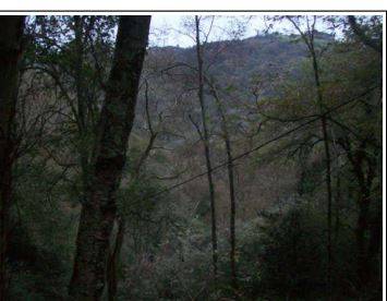 Terreno residencial en Venta en Cabranes