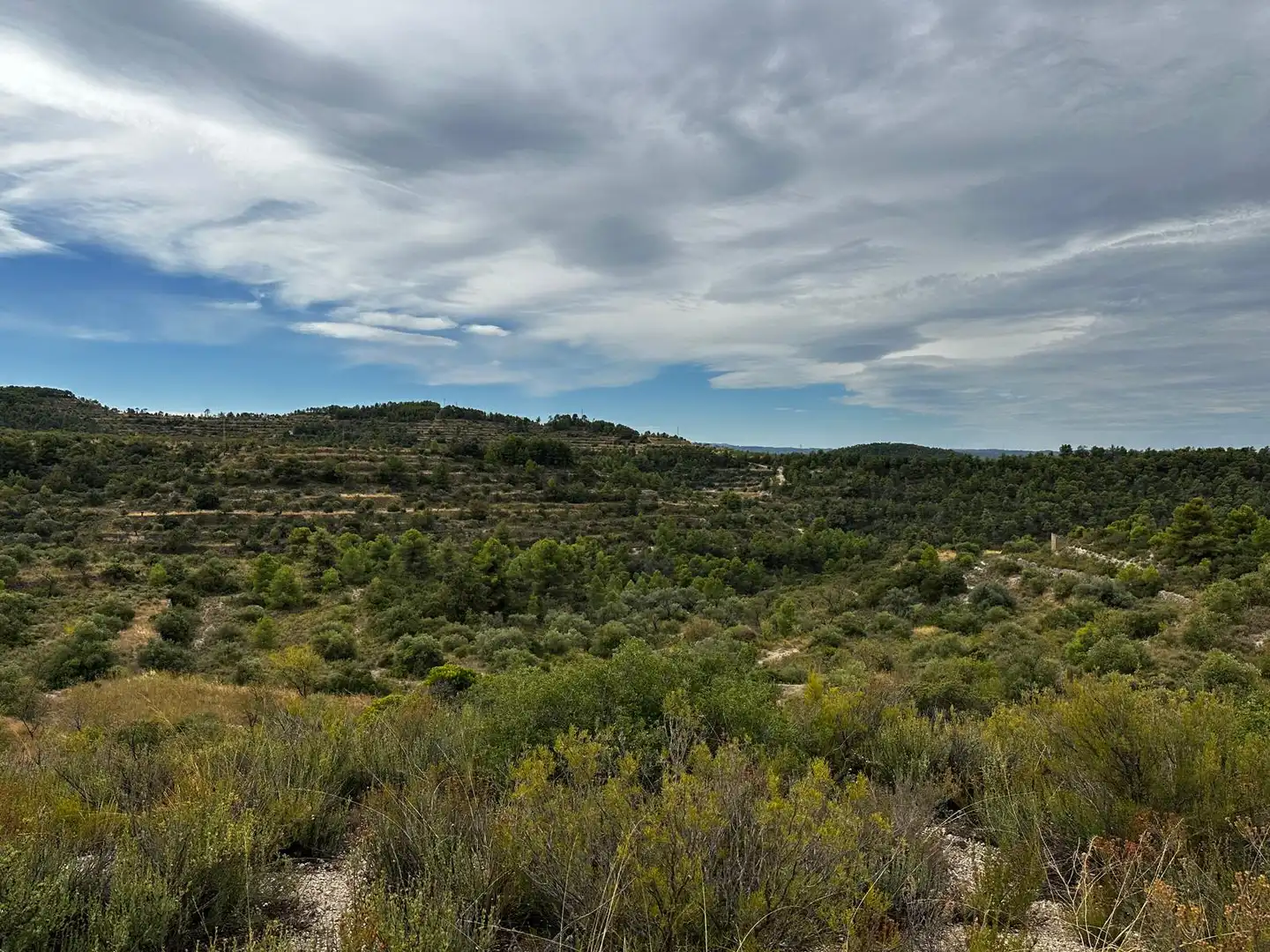 Terreny rústic en venda a Cervià de Les Garrigues, imagen 22