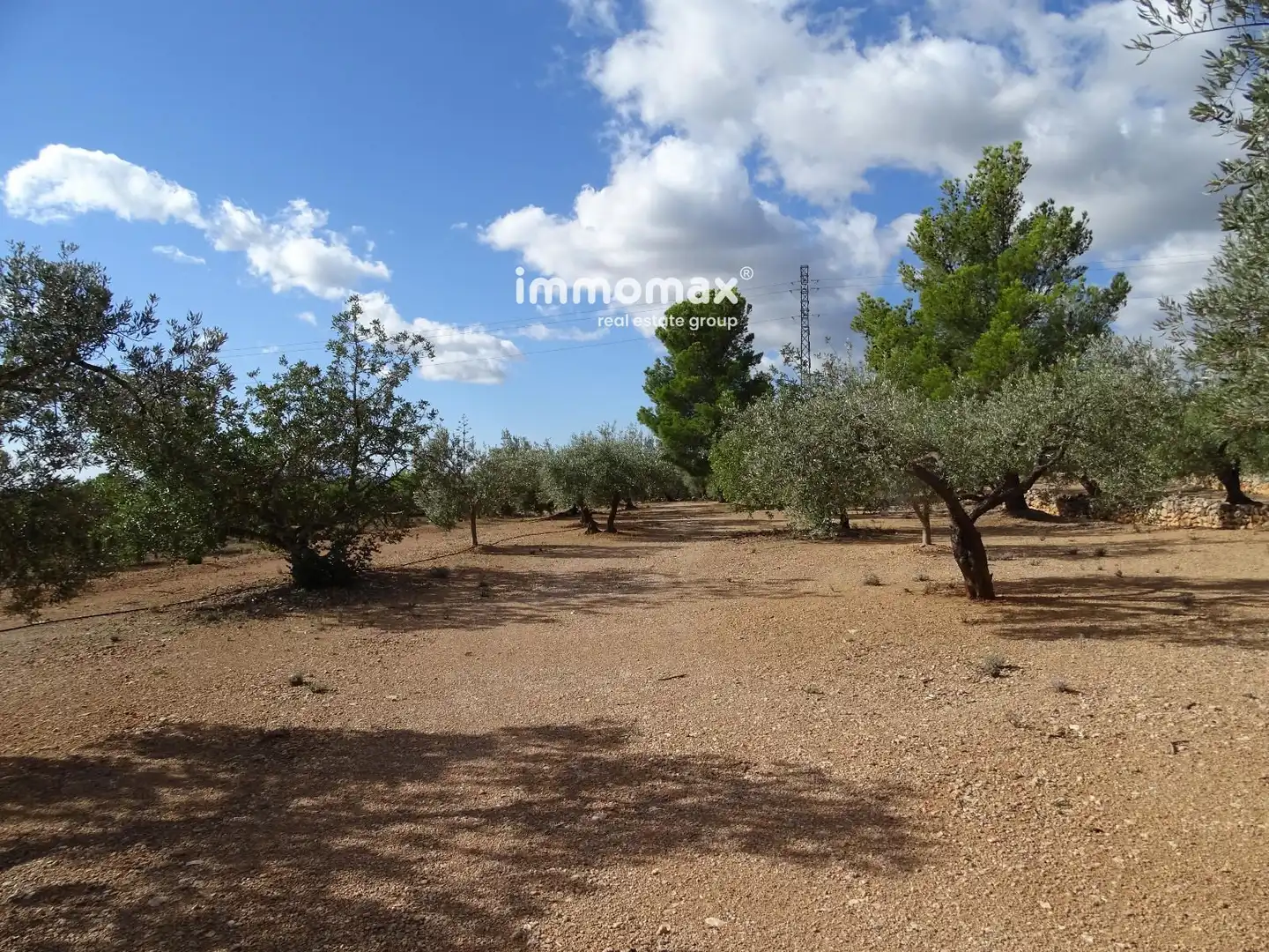 Terrain rustique à vendre à 14, imagen 25