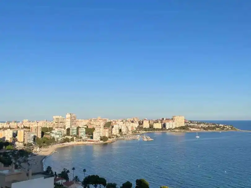 Pis amb piscina en venda a Playa de San Juan - El Cabo de las Huertas, imagen 7