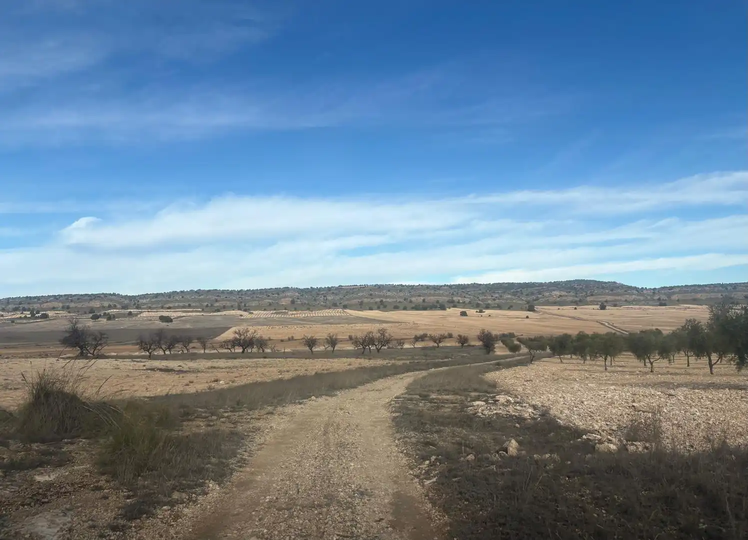 Finca rústica en venta en Ontur