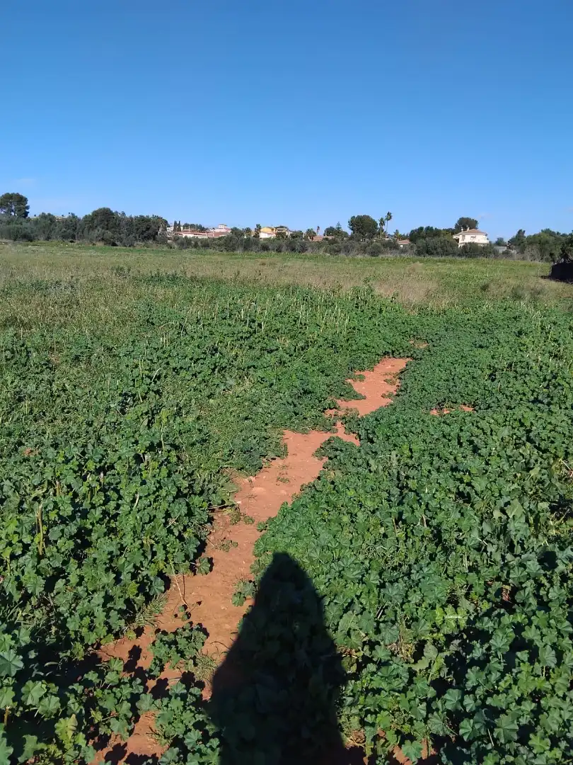 Rural land for sale in Plaça Num 17 105