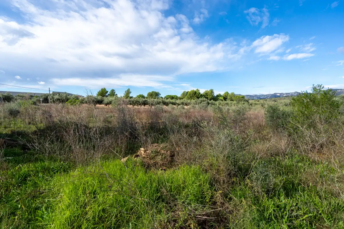 Rural land for sale in La Sénia, imagen 2