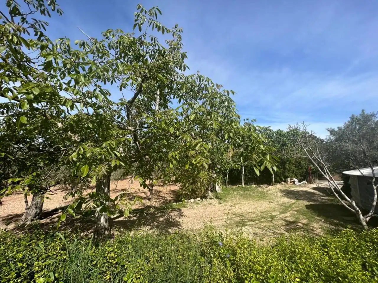 Chalet con jardín en venta en Calle Poligono, imagen 149