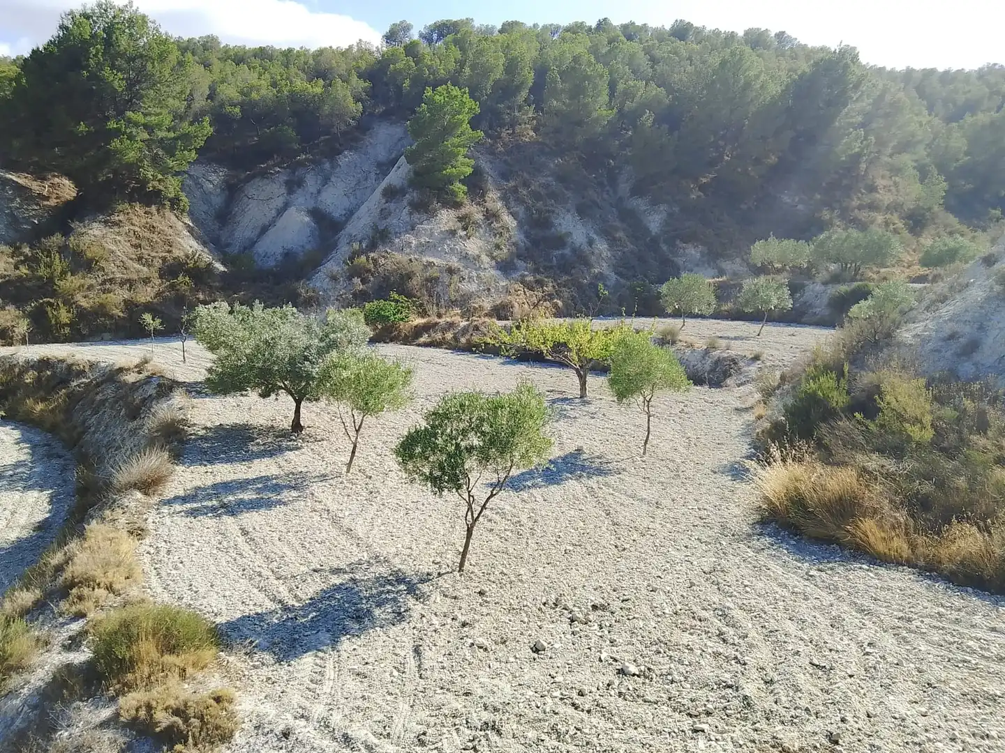 Terreno rustico in vendita a N/A, imagen 122