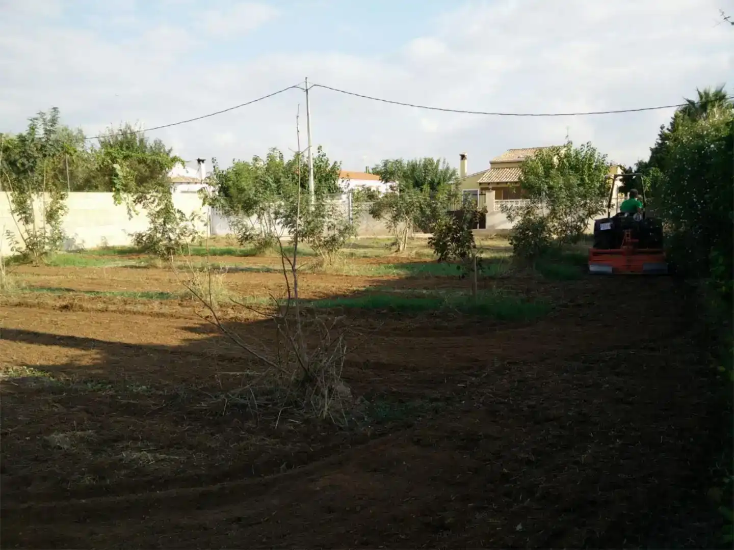 Land for sale in Corbera