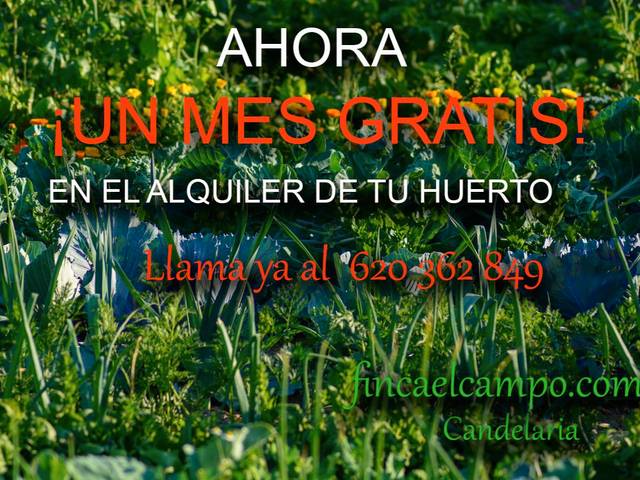 Terreno en Alquiler en TF-247, 12 en Cuevecitas - Malpaís