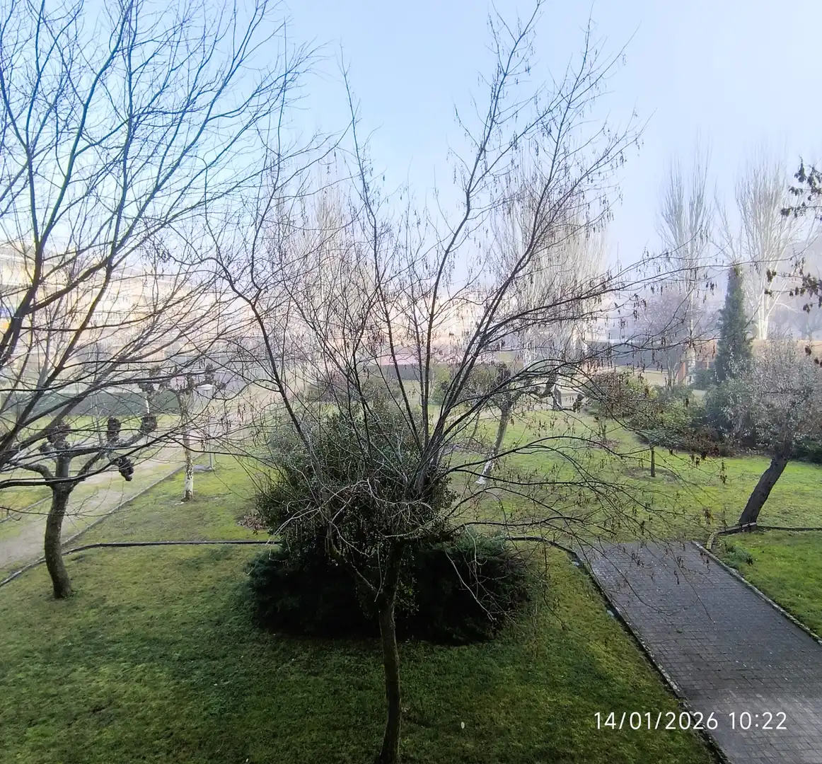 Study for rent in Calle Isla de la Toja, 14, Parque de la Coruña - Las Suertes