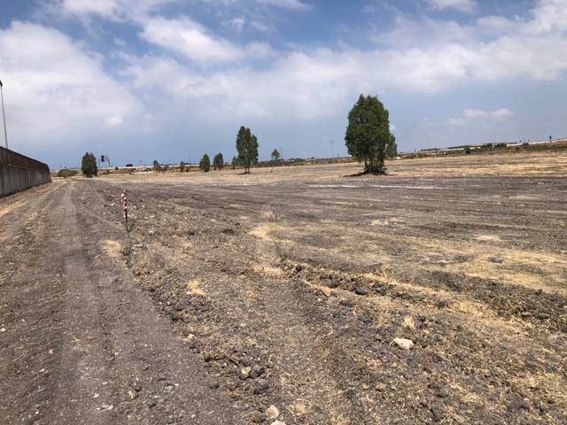 Terreno en Venta en Calle Miguel Servet, 20 en Ctra Jerez - Ctra del Puerto