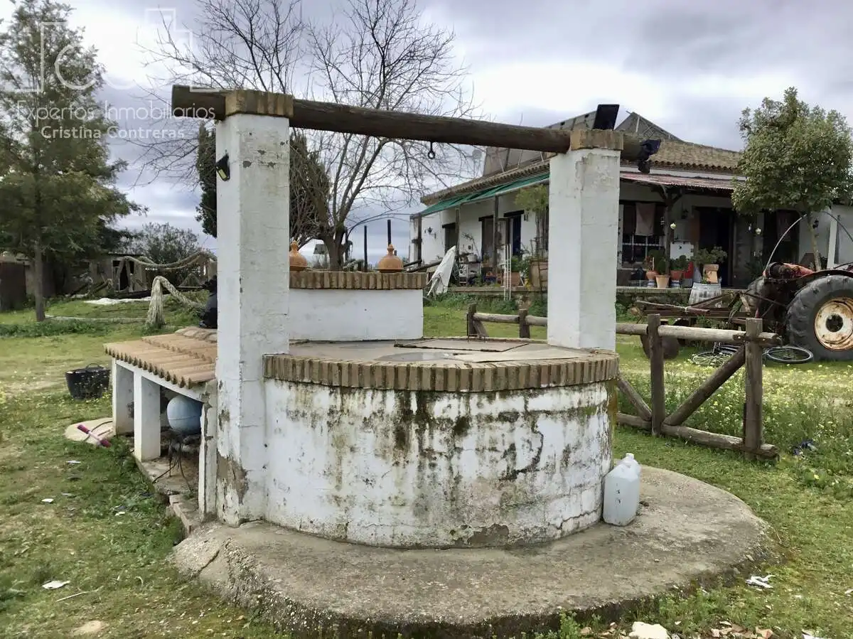 Casa rústica amb piscina en venda a Almonte ciudad, imagen 10