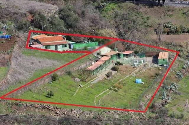 Finca rústica en Venta en a Tejeda, s/n en Vega de San Mateo