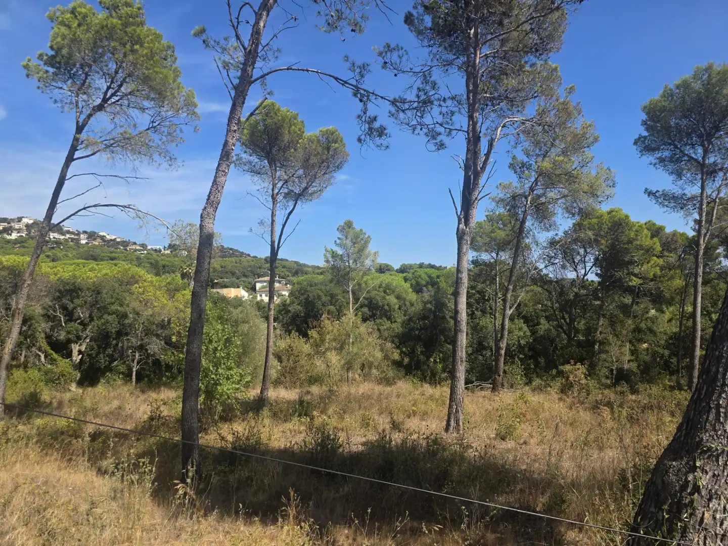 Terreny residencial en venda a Avinguda de l' Església, imagen 5