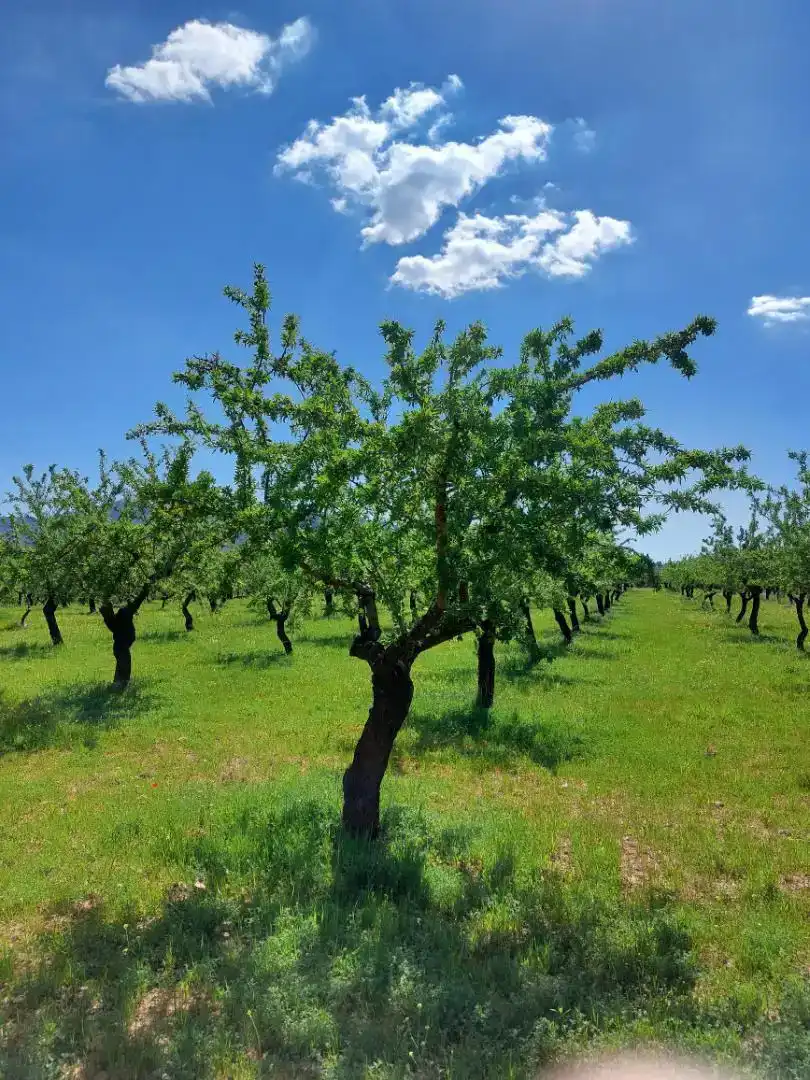 Finca rústica en venda en La Peza