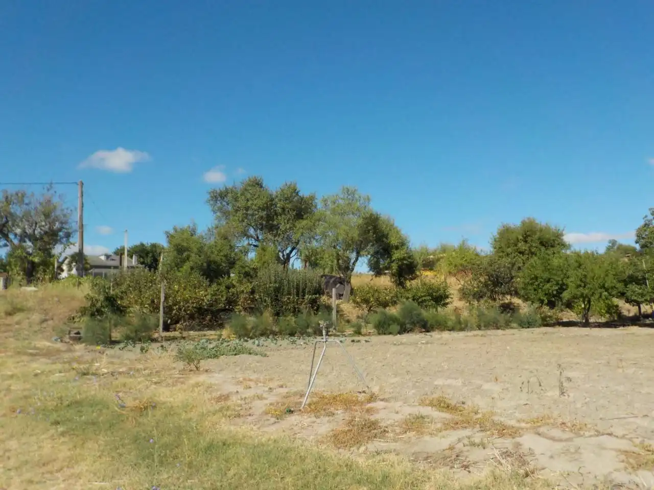 Detached house with garden for sale in Poligono 15, imagen 22