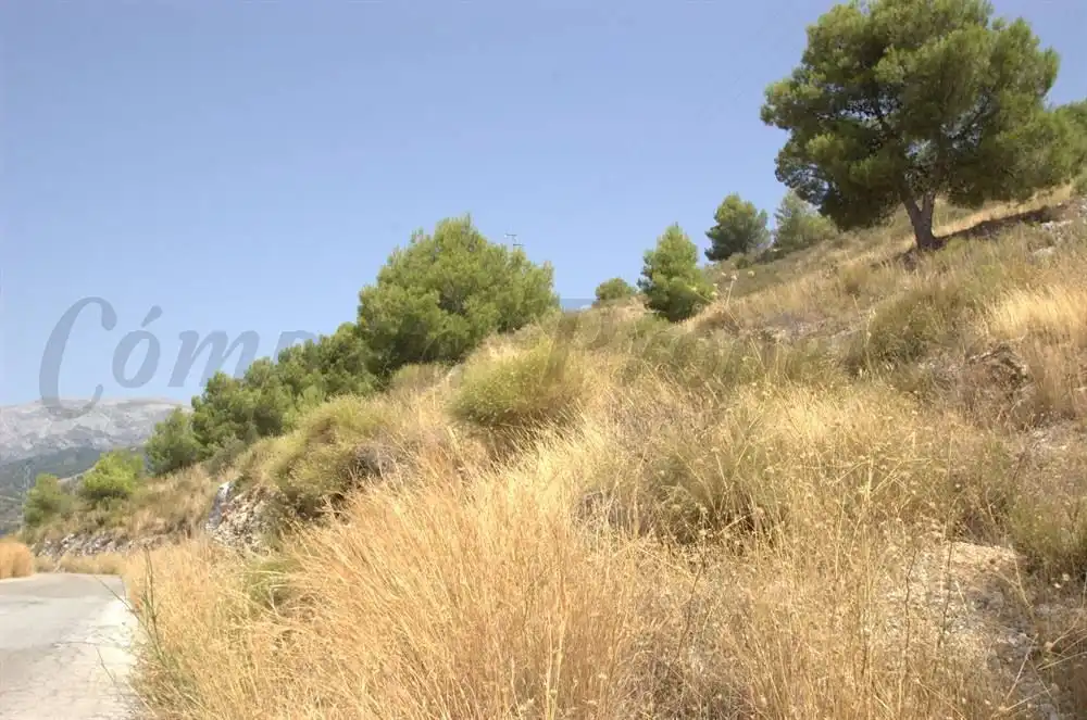 Terreny rústic en venda a Canillas de Albaida, imagen 5