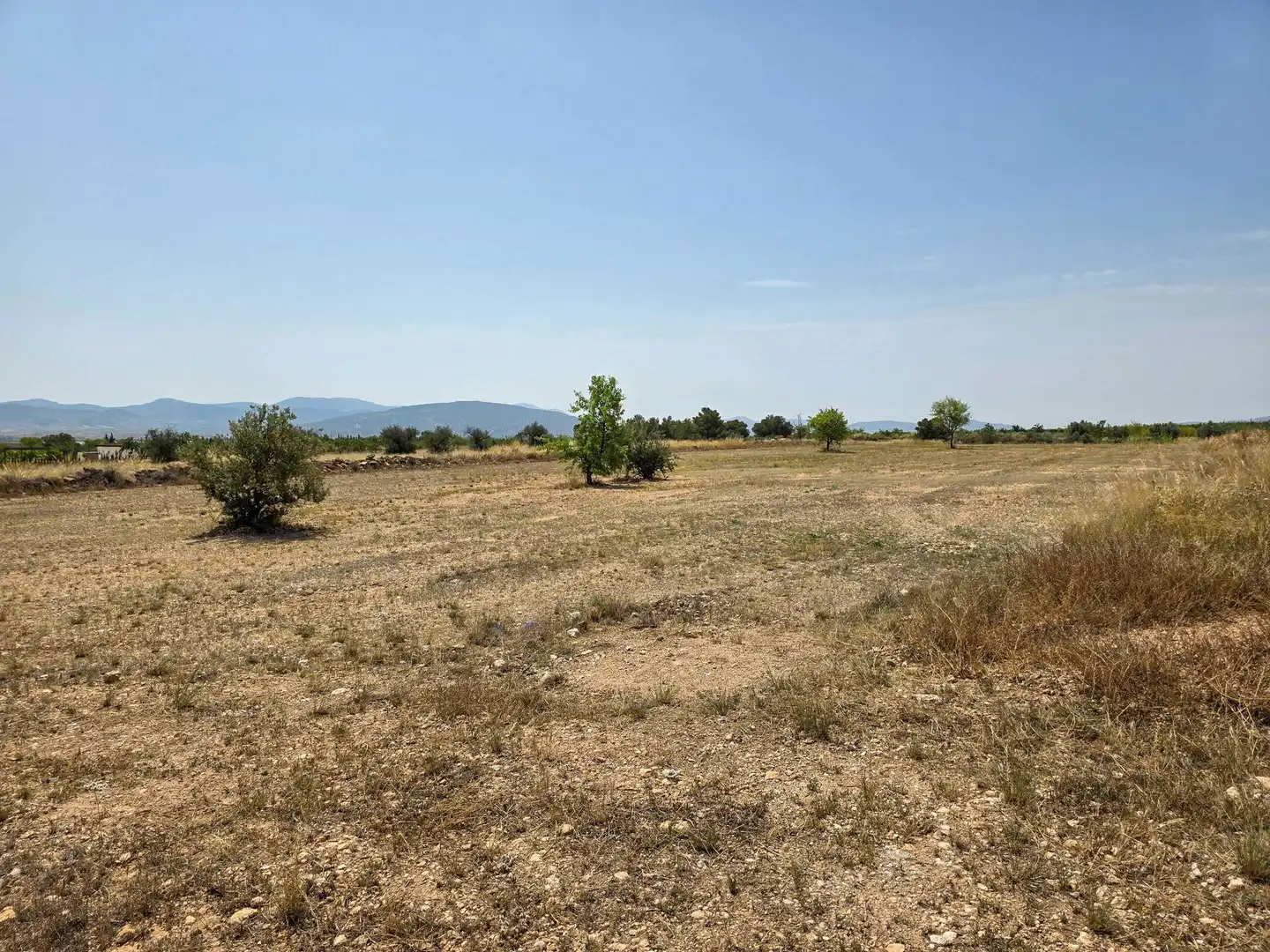 Terreny residencial en venda a El Pinós / Pinoso, imagen 4