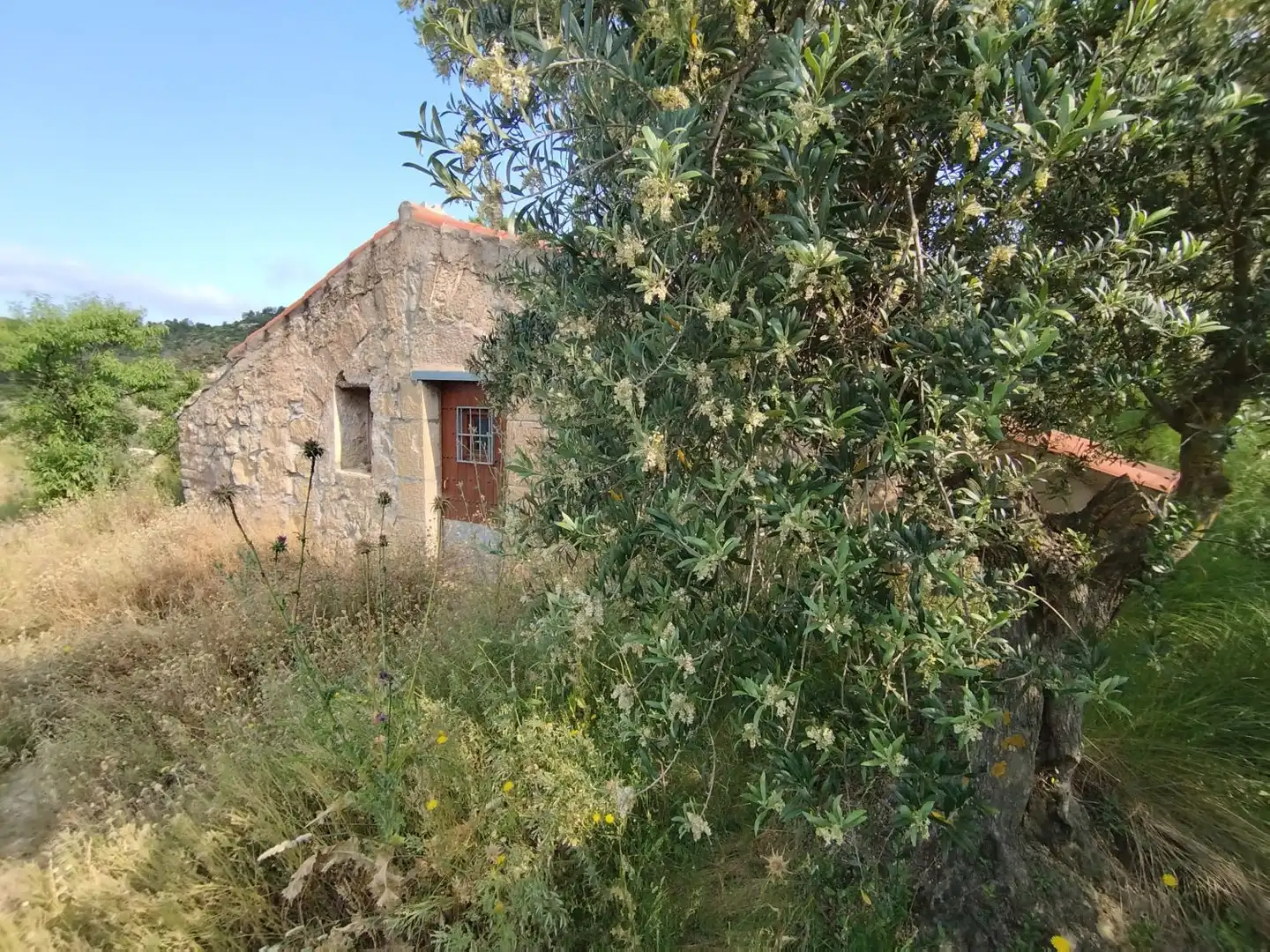 Vista exterior de Casa o xalet en venda en Cervià de Les Garrigues amb Traster