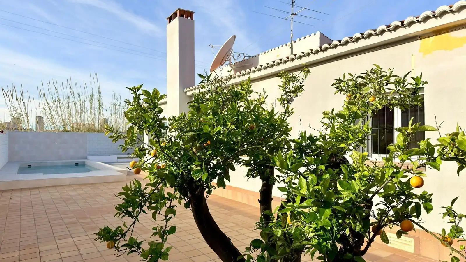 Garden of Houses for sale in El Campello  with Air Conditioner, Terrace and Swimming Pool