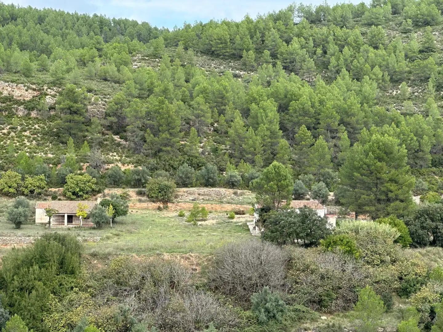 Finca rústica en venta en Enguera
