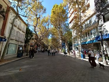 Appartement avec ascenseur à vendre à Centro Urbano