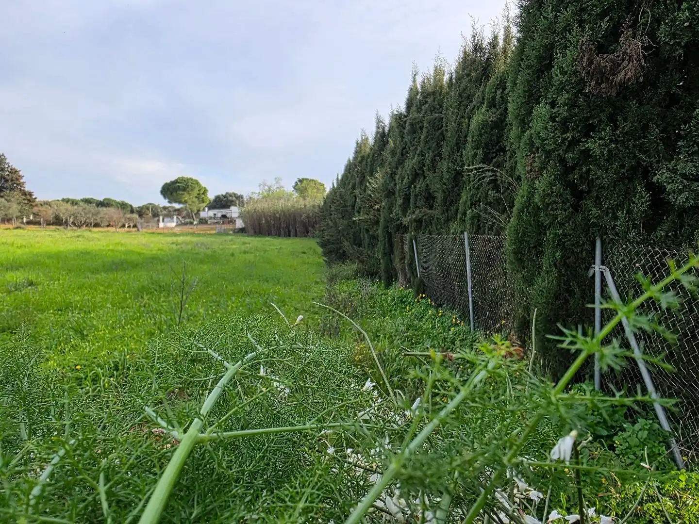 Terreni e lotti in affitto a CA-3113 0, imagen 7
