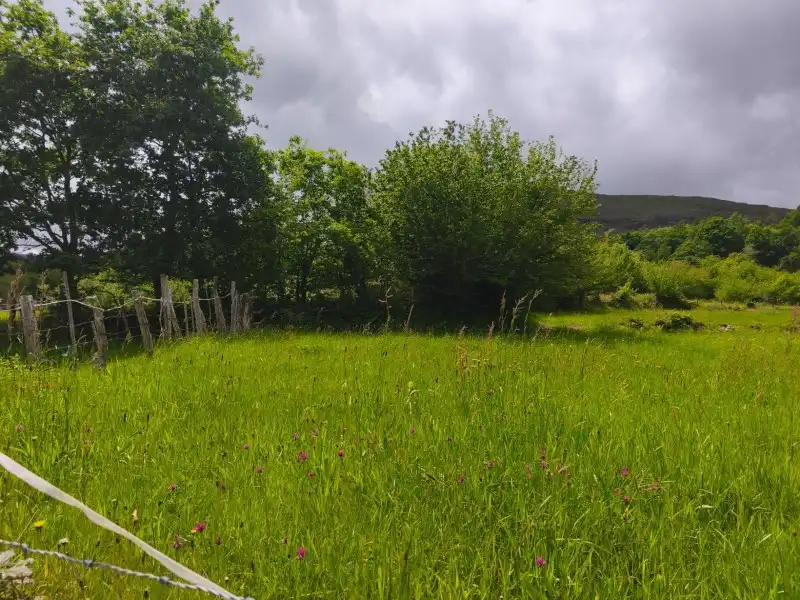 Rural land for sale in Rionansa, imagen 4