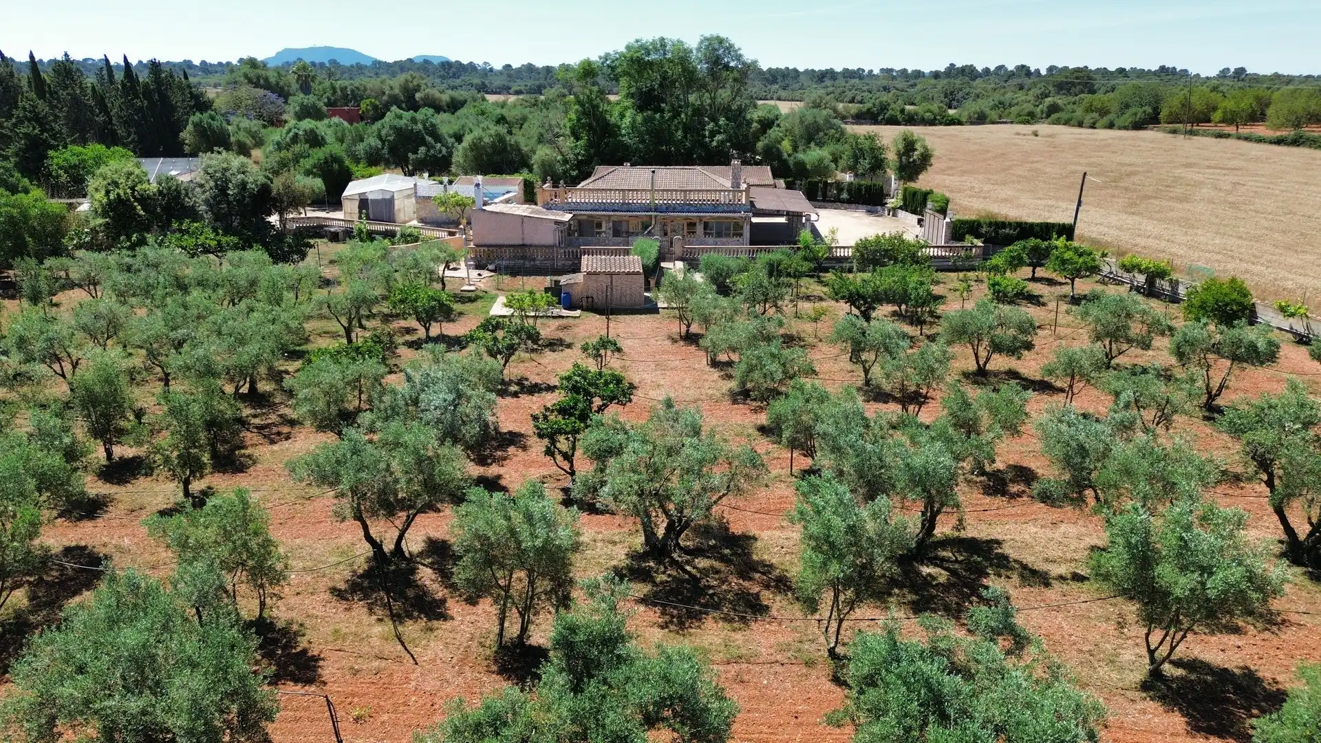 Jardí de Casa o xalet en venda en Santa Eugènia amb Aire condicionat, Calefacció i Terrassa