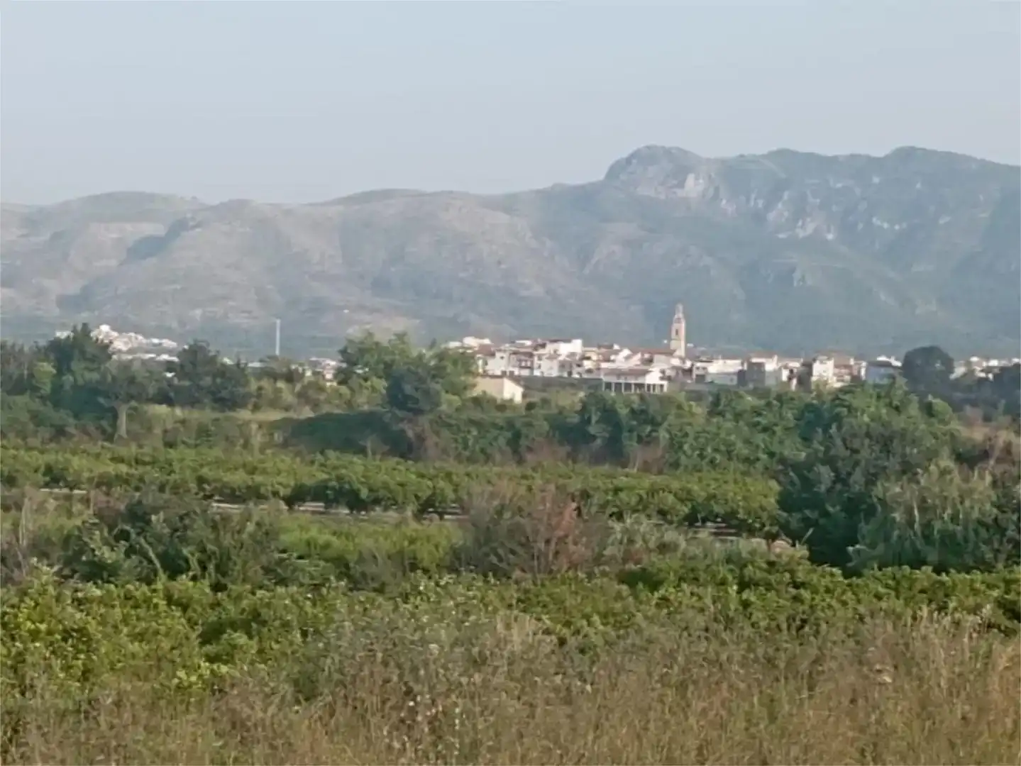 Vista exterior de Terreno en venta en Llutxent, Valencia