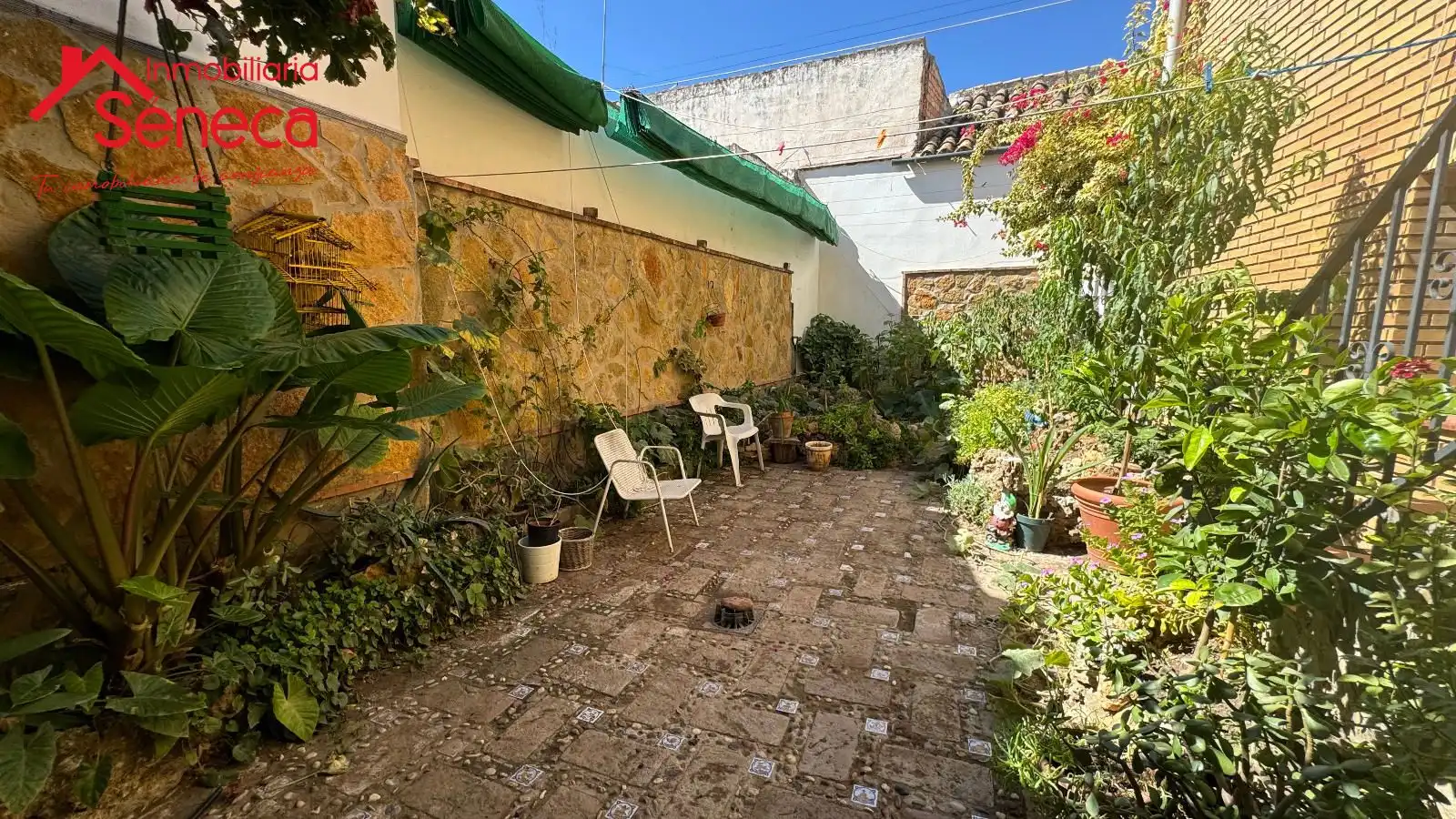 Casa amb terrassa en venda a Blas Infante, imagen 31