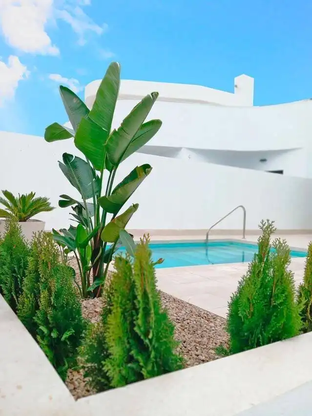 Casa amb terrassa en venda a Los Balcones - Los Altos, imagen 2