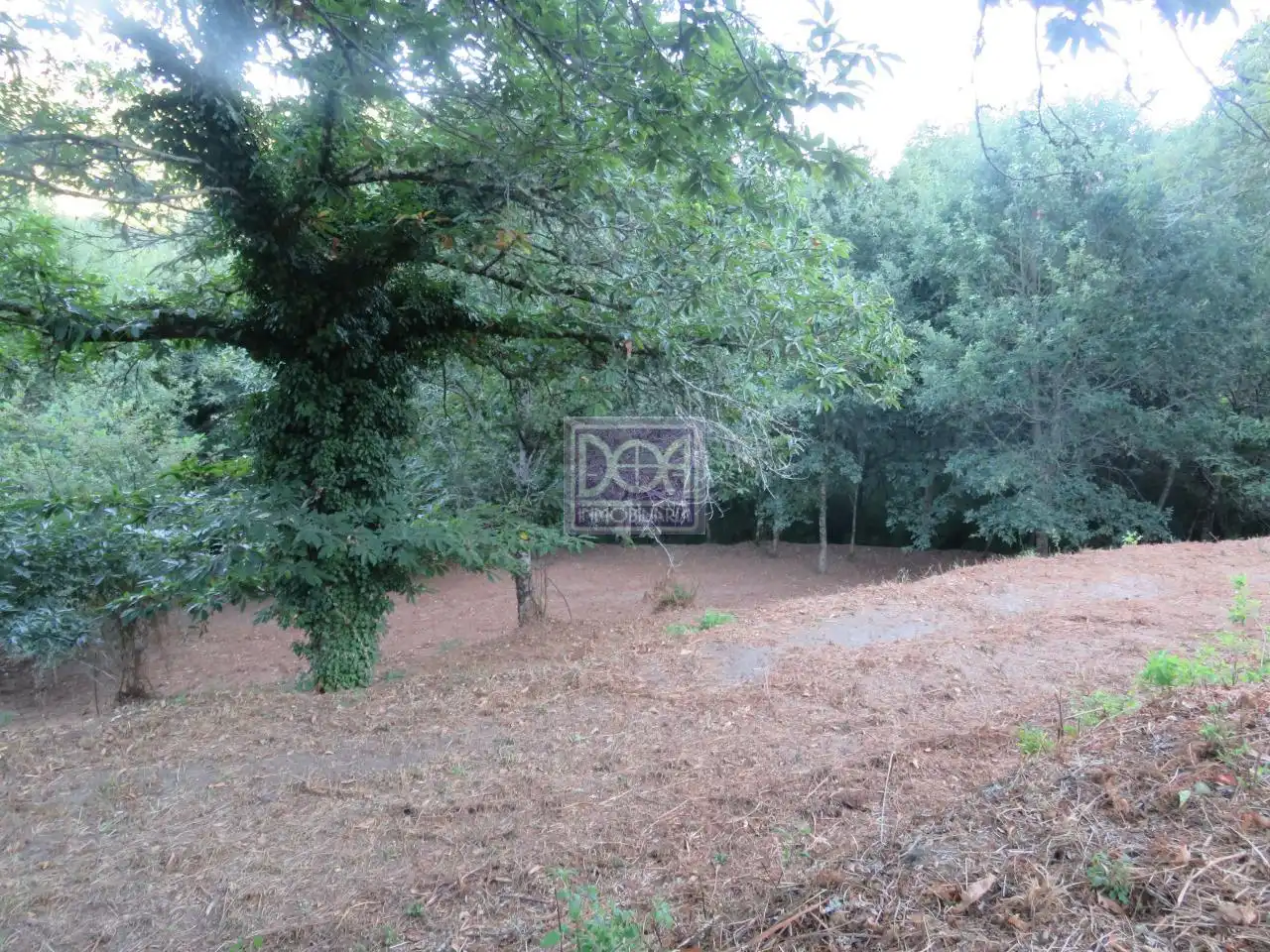 Casa rústica amb jardí en venda a Mondariz, imagen 20