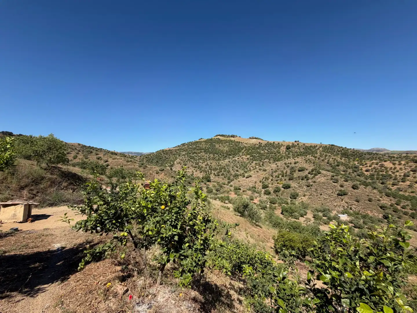 Finca rústica en venta en Ardales con Jardín privado, Terraza y Piscina