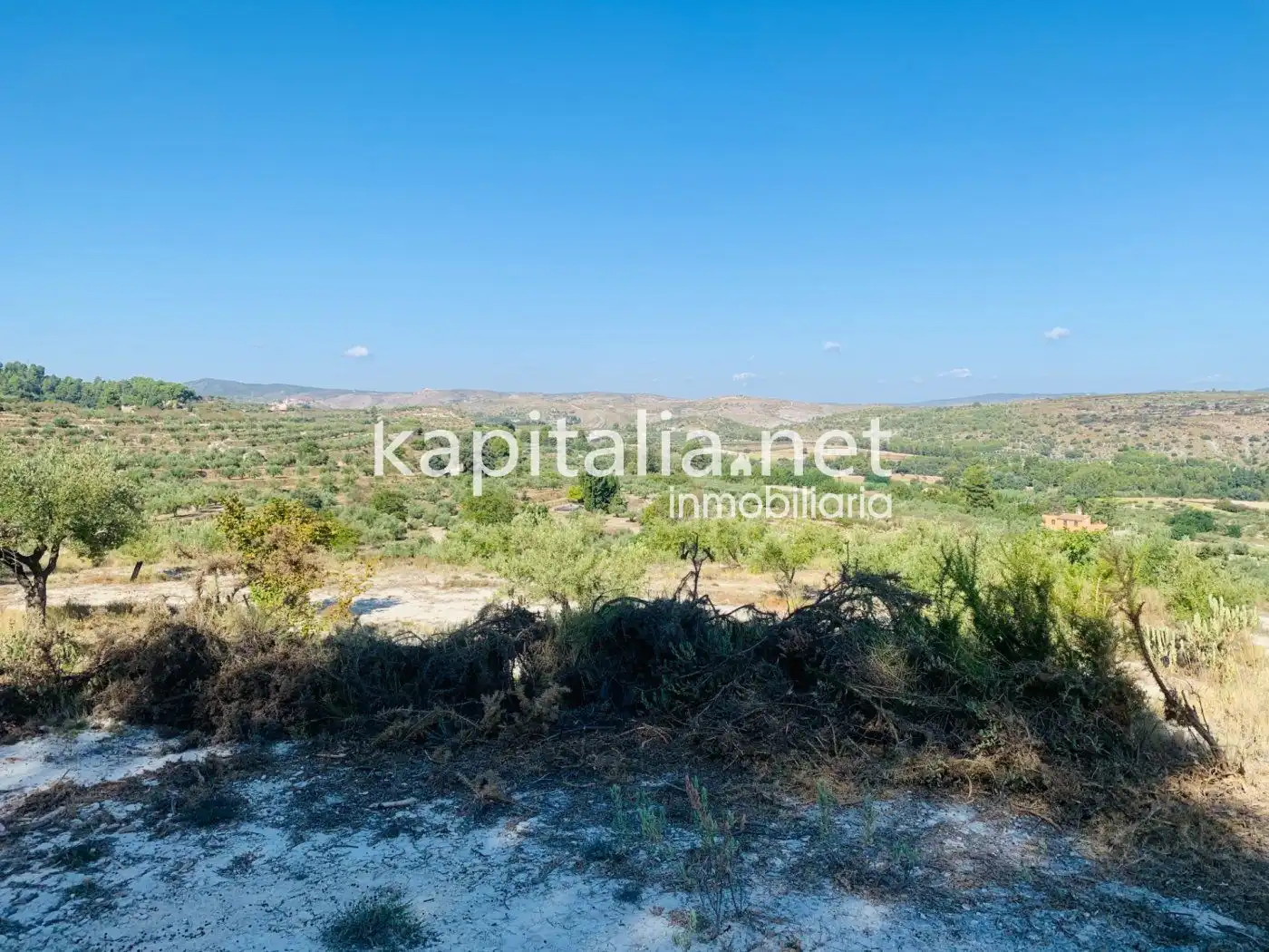 Terreno residencial en venta en Alfafara, imagen 7