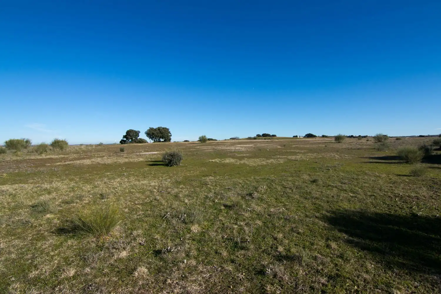Rural land for sale in Villamanta 0