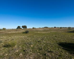 Land for sale in Villamanta