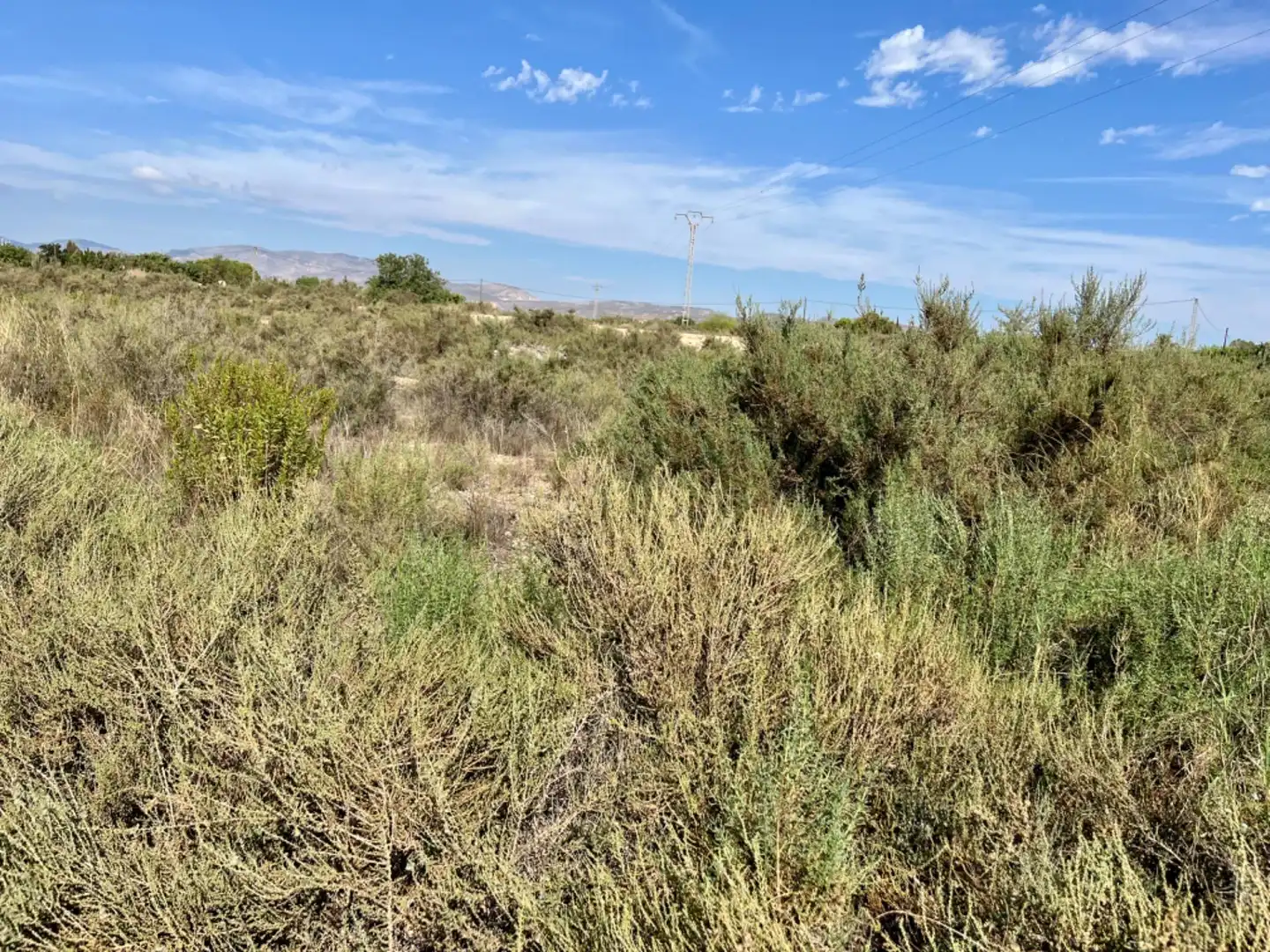 Residencial en venta en Elche de la Sierra