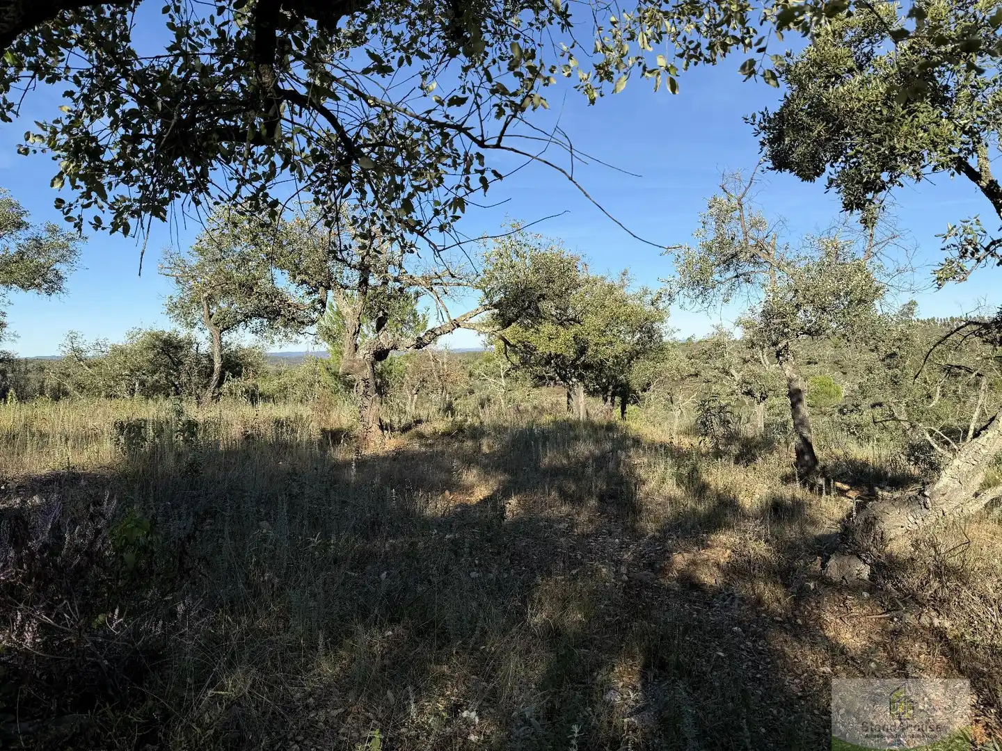 Finca rústica en venta en Berrocal