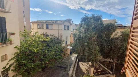 Foto 4 de Pis de lloguer a Es Puig de Sant Pere, Illes Balears