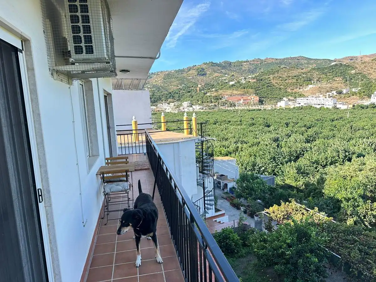 Casa rústica amb terrassa en venda a Zanahoria Pol 25 357B, imagen 35