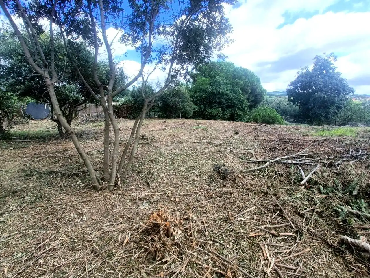 Lands and plots for sale in Can Massuet del Far, imagen 7
