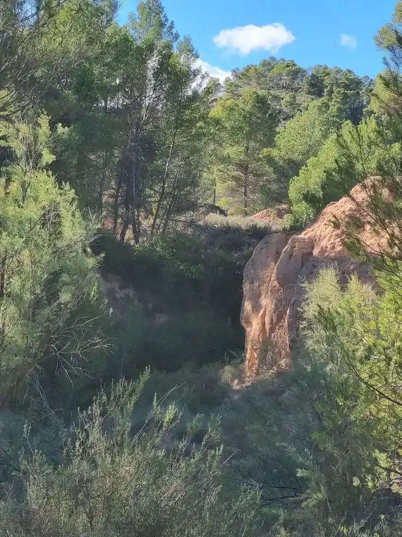 Country homes for sale in Requena, Valencia