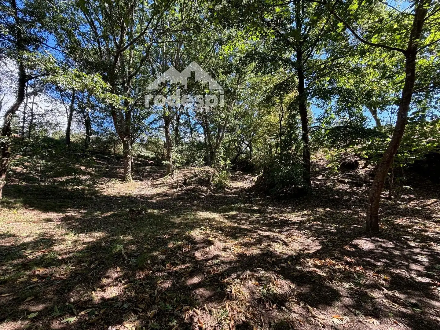 Terreny rústic en venda a A Cañiza, imagen 16