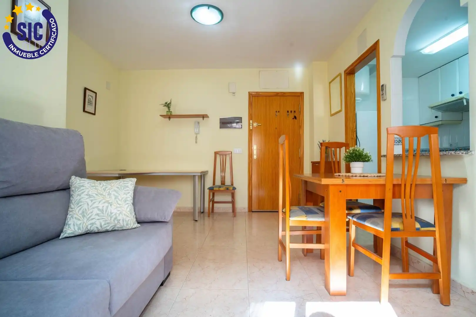 Piso con terraza en venta en Calle GOYA 102, imagen 5