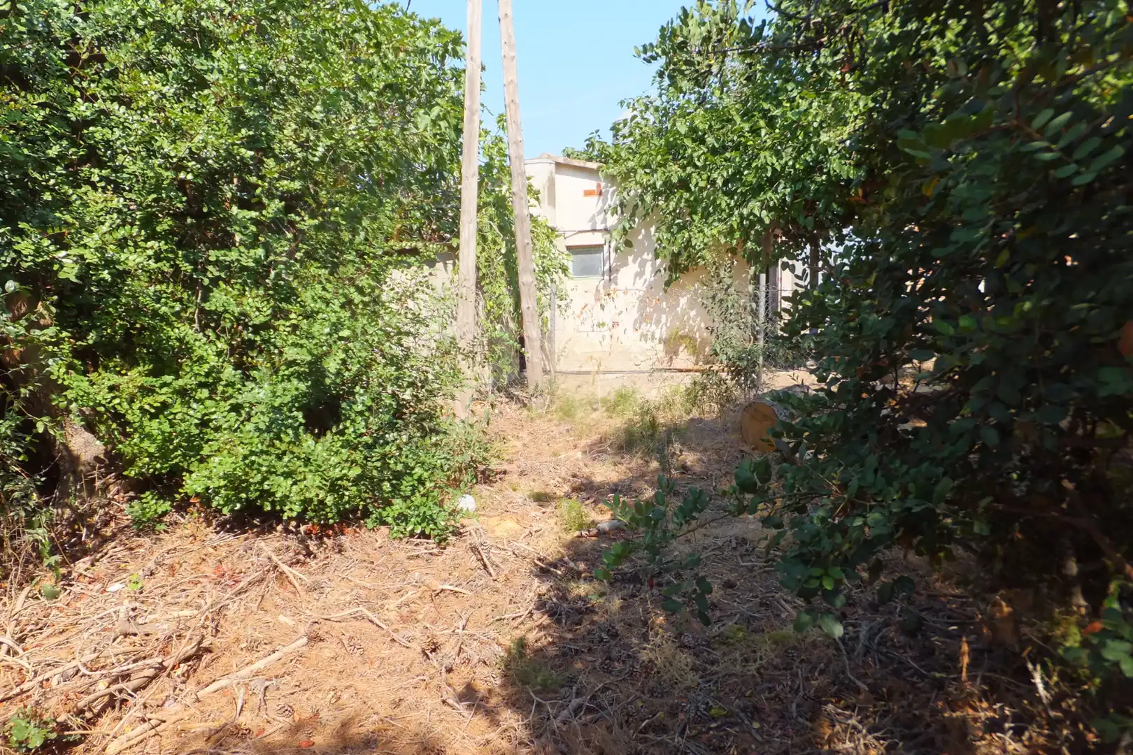 Terreno rústico en venta en Vial Camino 20, imagen 29