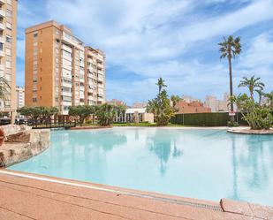 Swimming pool of Flat for sale in Alicante / Alacant  with Swimming Pool and Community pool