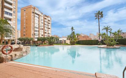 Swimming pool of Flat for sale in Alicante / Alacant  with Swimming Pool and Community pool