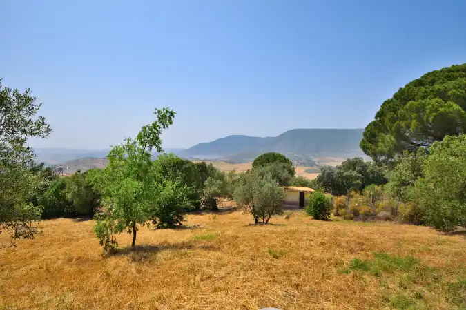 Terrain rustique à vendre à El Gastor, imagen 21