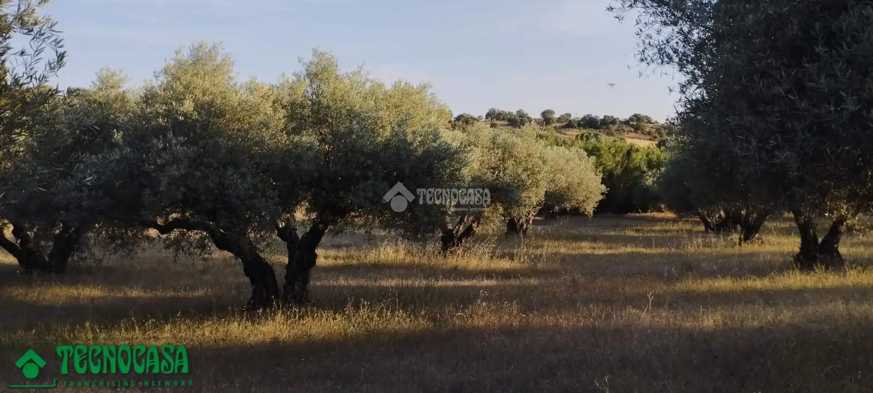 Terreni e lotti in vendita a Méntrida, imagen 16