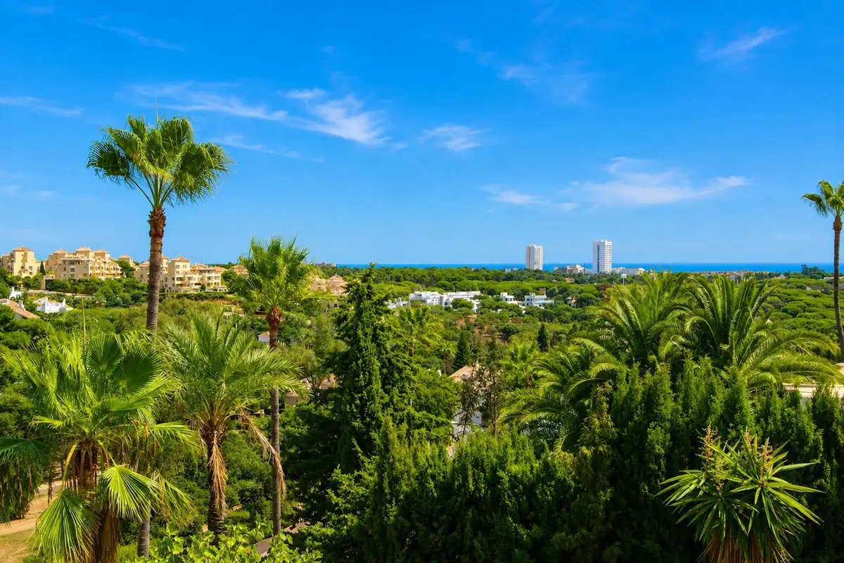 Vista exterior de Casa o chalet en venta en Marbella